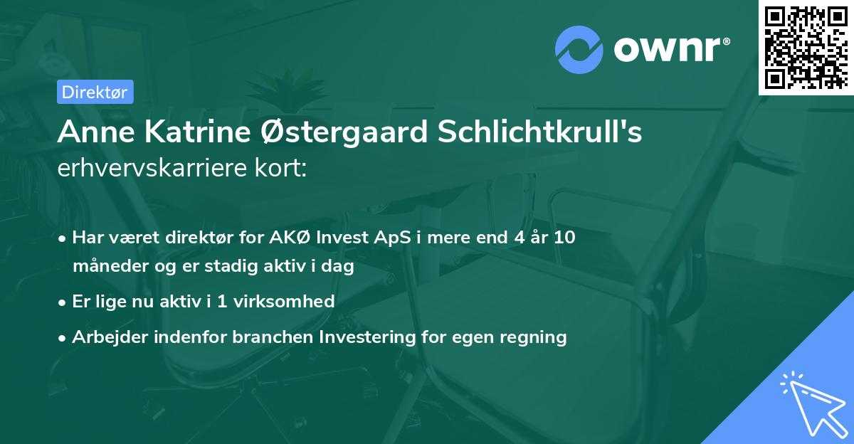 Anne Katrine Østergaard Schlichtkrull's erhvervskarriere kort