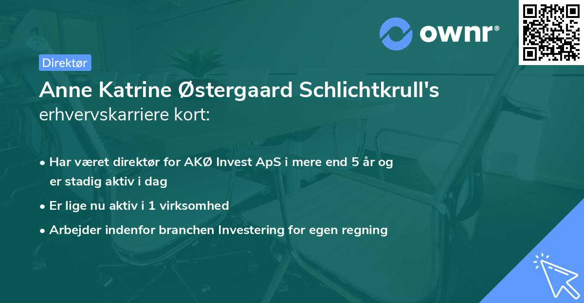 Anne Katrine Østergaard Schlichtkrull's erhvervskarriere kort