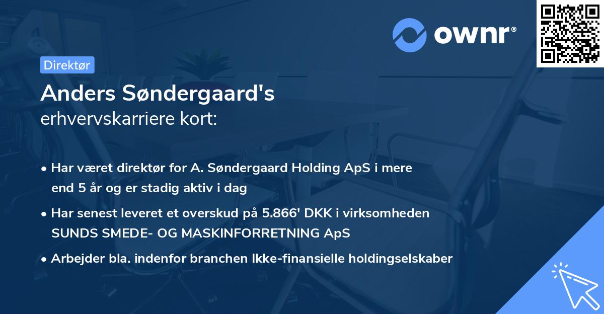 Anders Søndergaard's erhvervskarriere kort