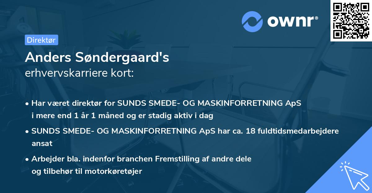 Anders Søndergaard's erhvervskarriere kort