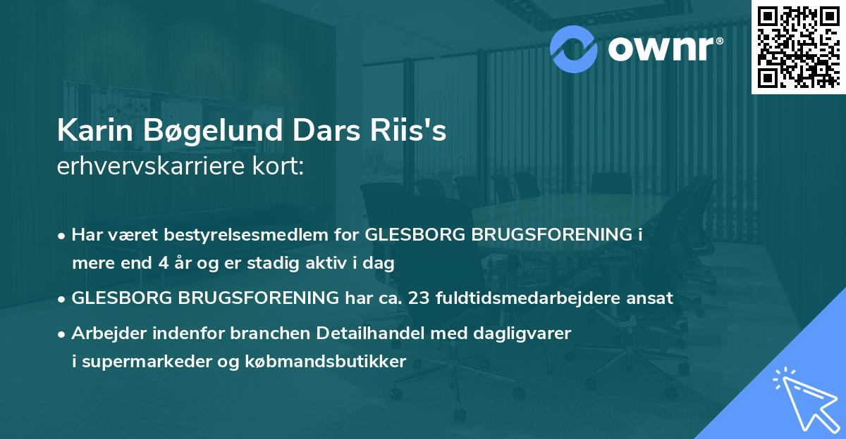 Karin Bøgelund Dars Riis's erhvervskarriere kort