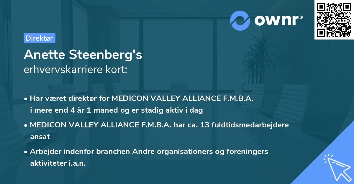 Anette Steenberg's erhvervskarriere kort