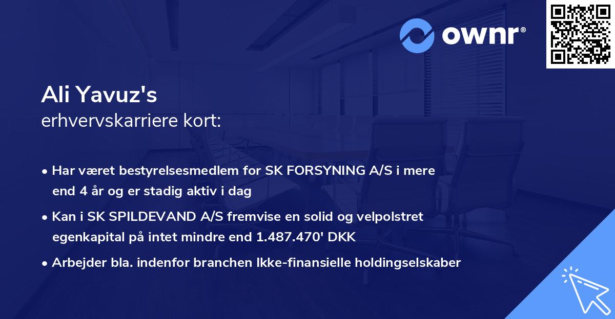 Ali Yavuz's erhvervskarriere kort