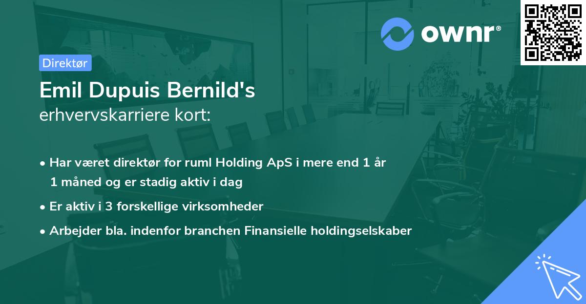 Emil Dupuis Bernild's erhvervskarriere kort