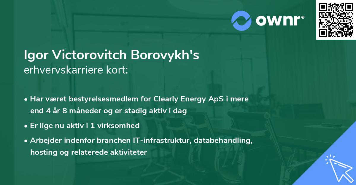 Igor Victorovitch Borovykh's erhvervskarriere kort