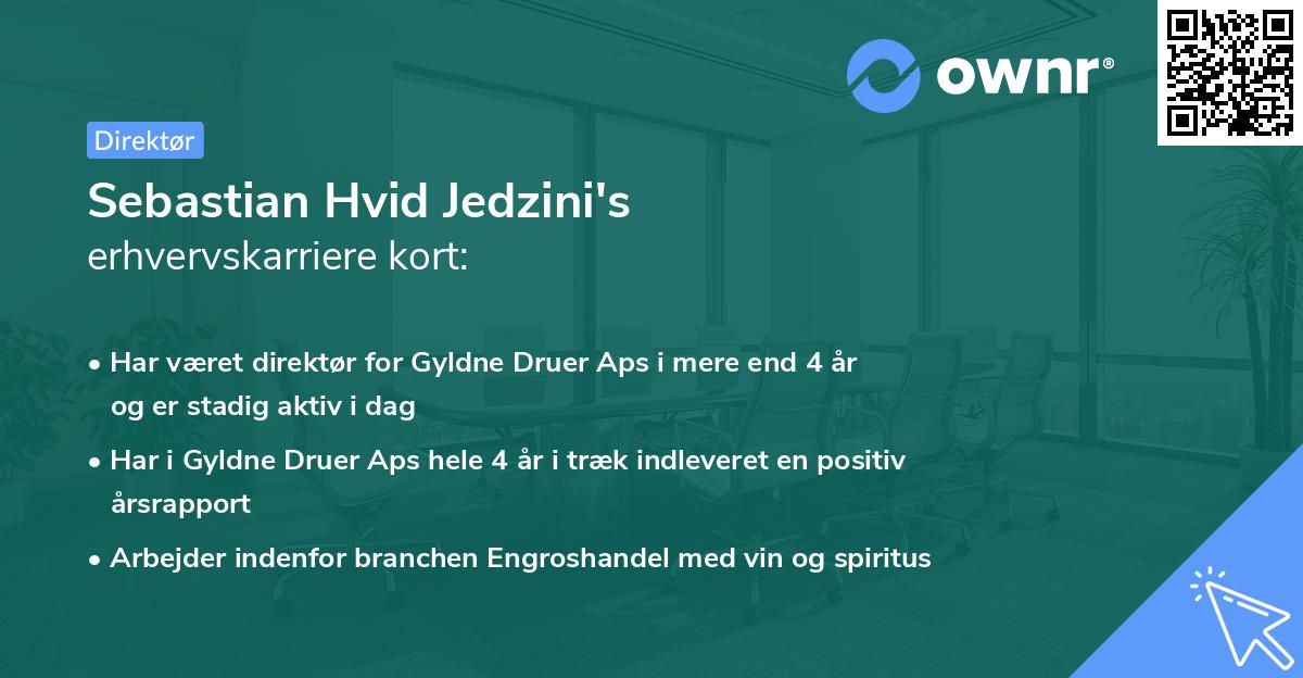 Sebastian Hvid Jedzini's erhvervskarriere kort