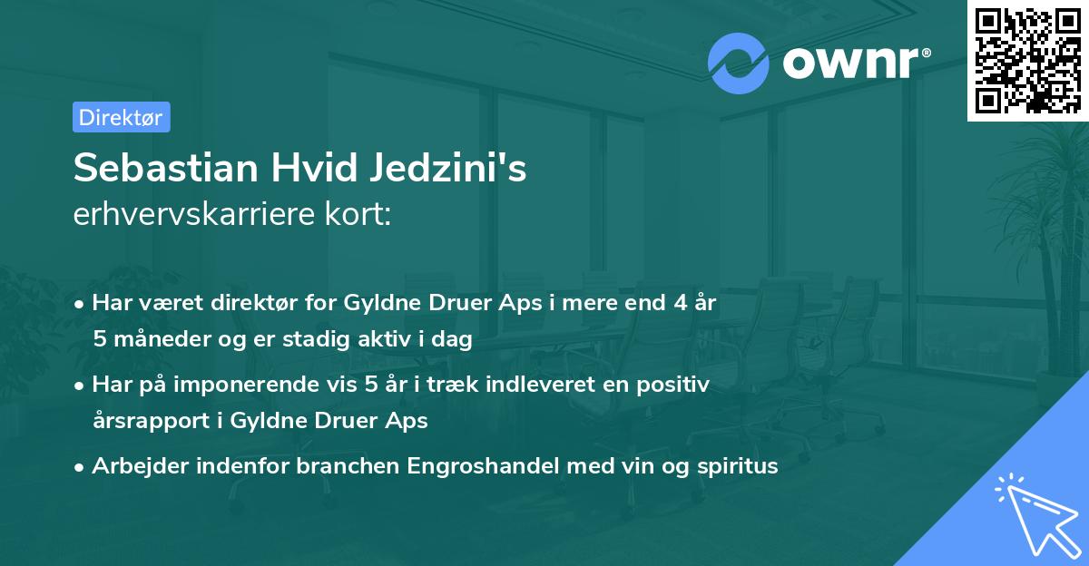 Sebastian Hvid Jedzini's erhvervskarriere kort