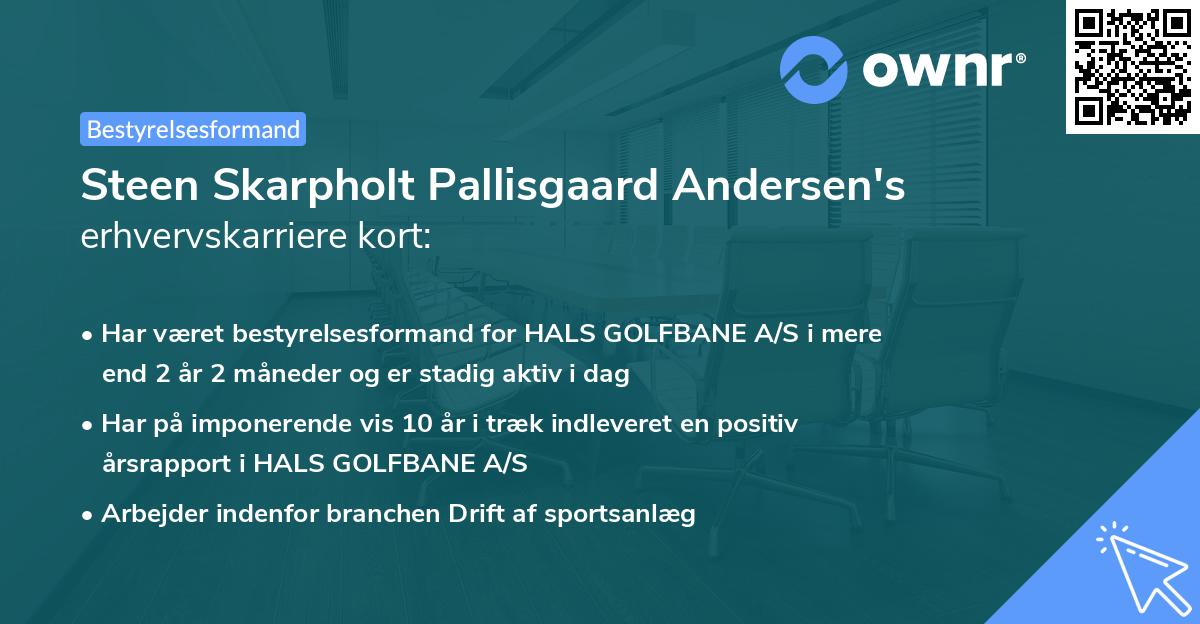 Steen Skarpholt Pallisgaard Andersen's erhvervskarriere kort