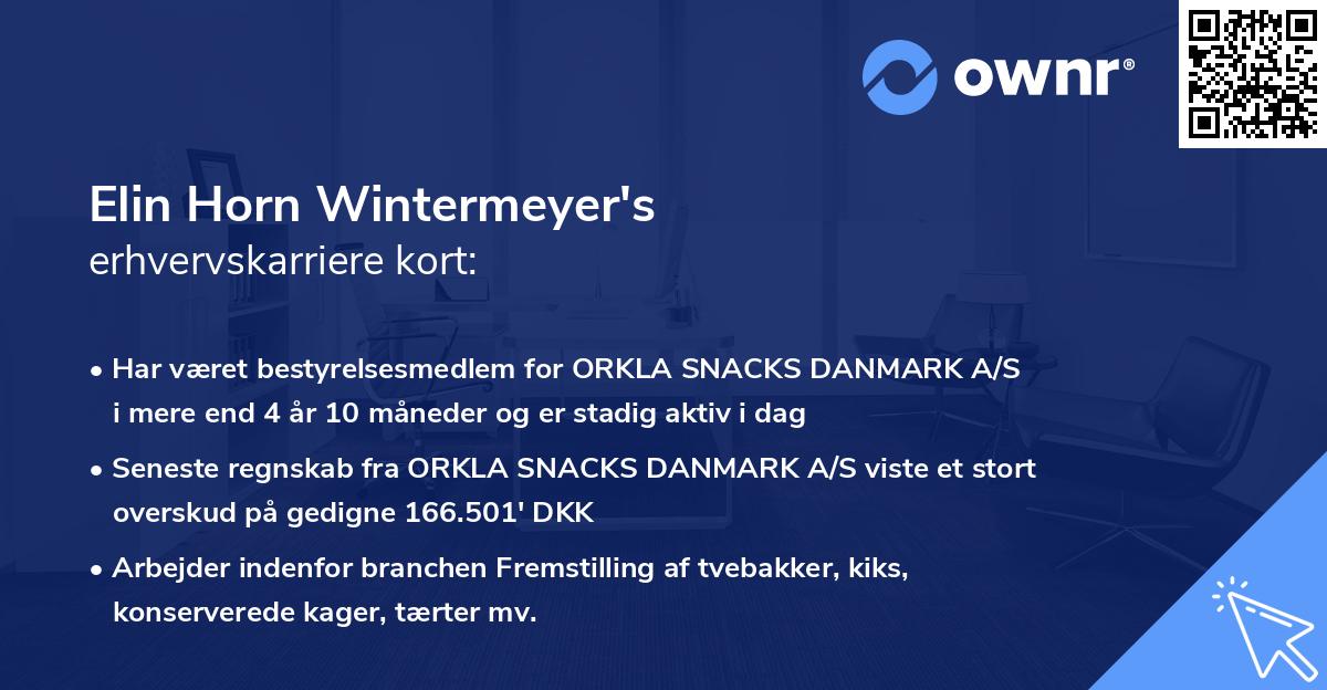 Elin Horn Wintermeyer's erhvervskarriere kort