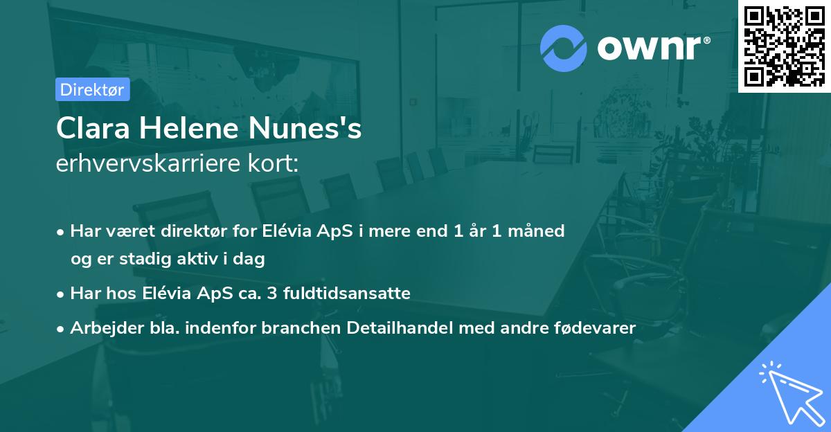 Clara Helene Nunes's erhvervskarriere kort
