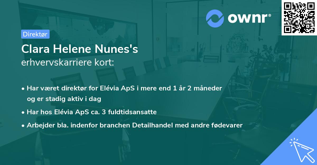Clara Helene Nunes's erhvervskarriere kort