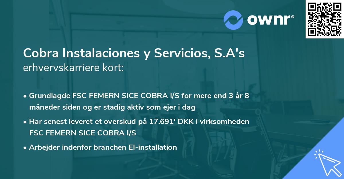 Cobra Instalaciones y Servicios, S.A's erhvervskarriere kort
