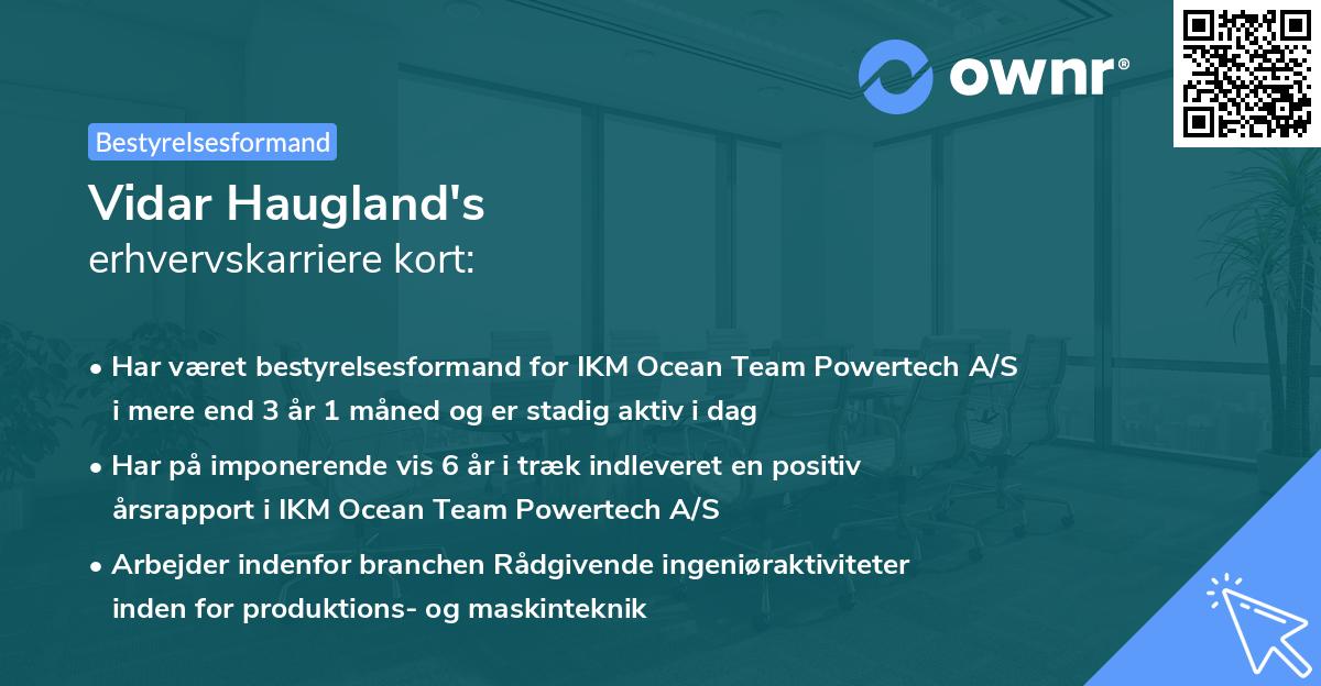 Vidar Haugland's erhvervskarriere kort