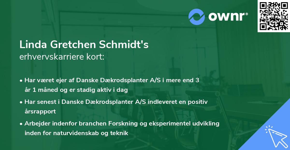 Linda Gretchen Schmidt's erhvervskarriere kort
