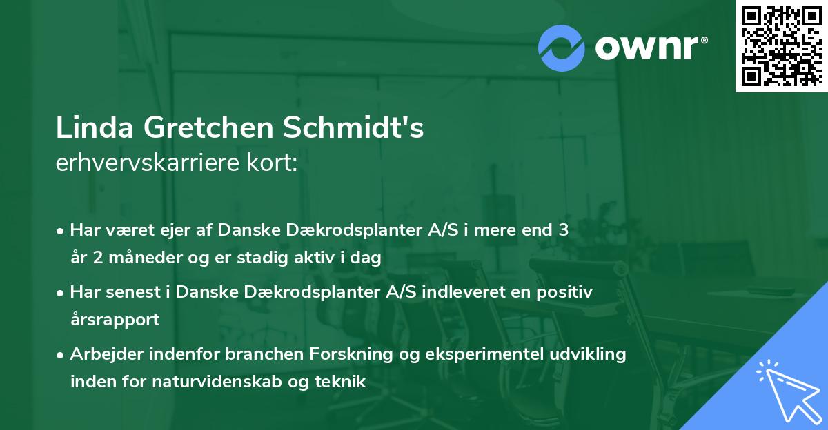 Linda Gretchen Schmidt's erhvervskarriere kort