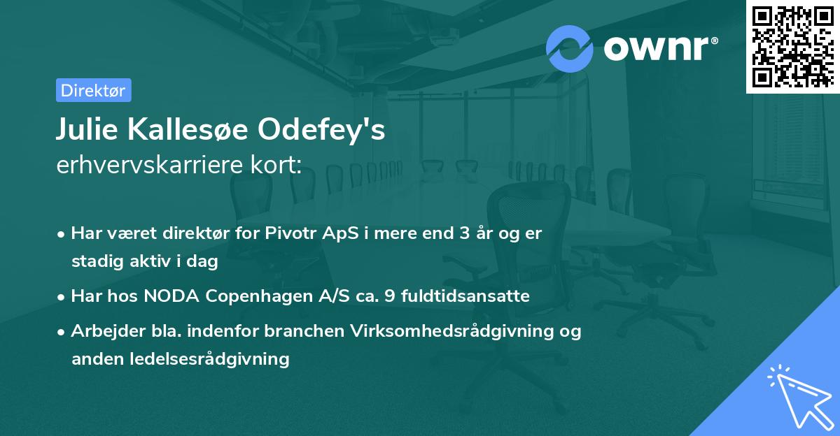 Julie Kallesøe Odefey's erhvervskarriere kort