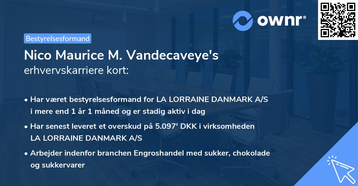 Nico Maurice M. Vandecaveye's erhvervskarriere kort