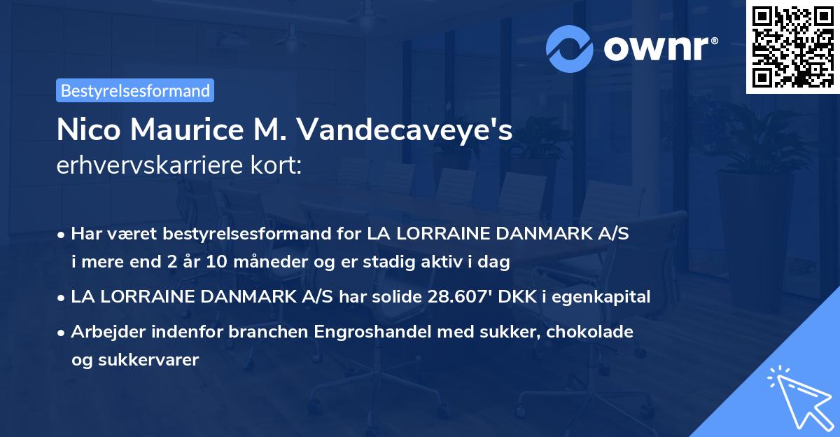 Nico Maurice M. Vandecaveye's erhvervskarriere kort