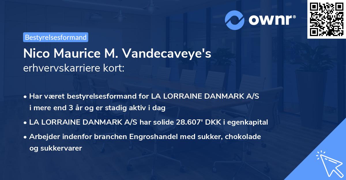Nico Maurice M. Vandecaveye's erhvervskarriere kort