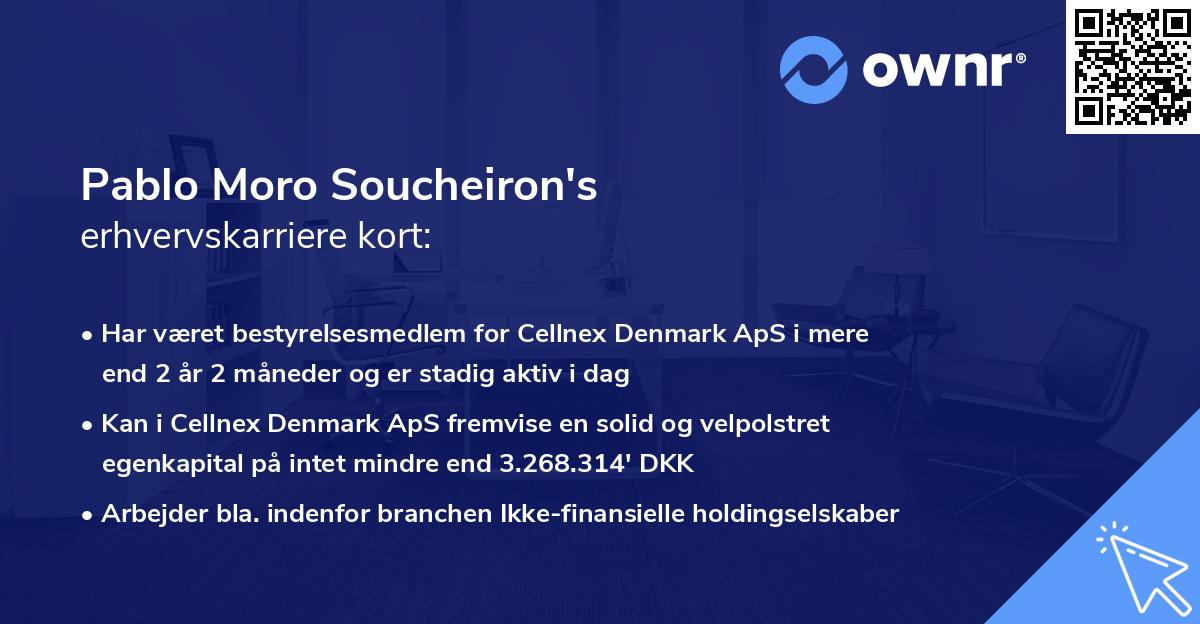 Pablo Moro Soucheiron's erhvervskarriere kort