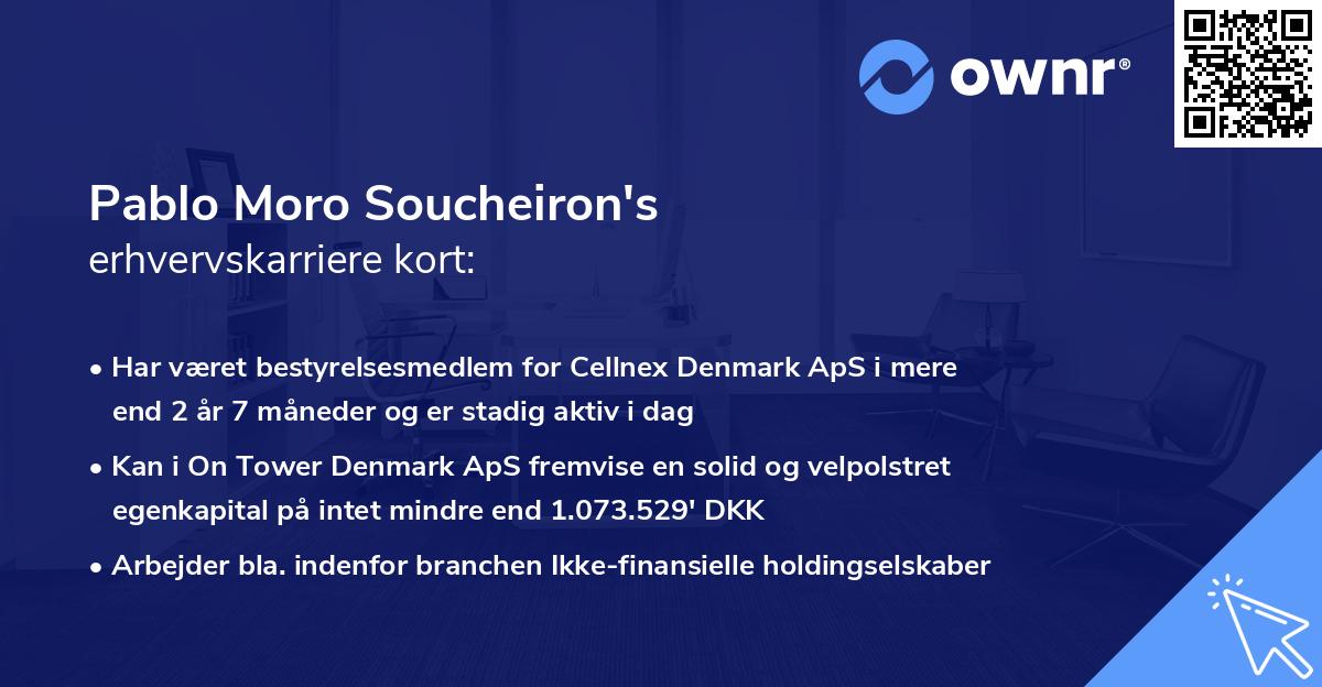 Pablo Moro Soucheiron's erhvervskarriere kort