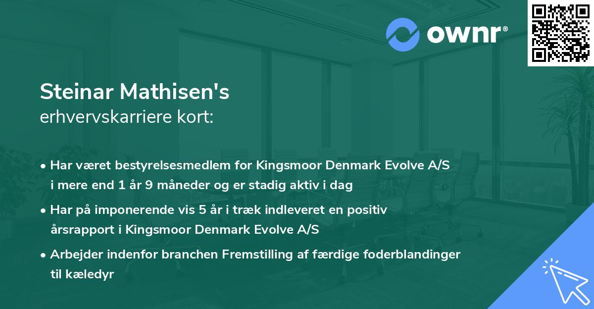 Steinar Mathisen's erhvervskarriere kort