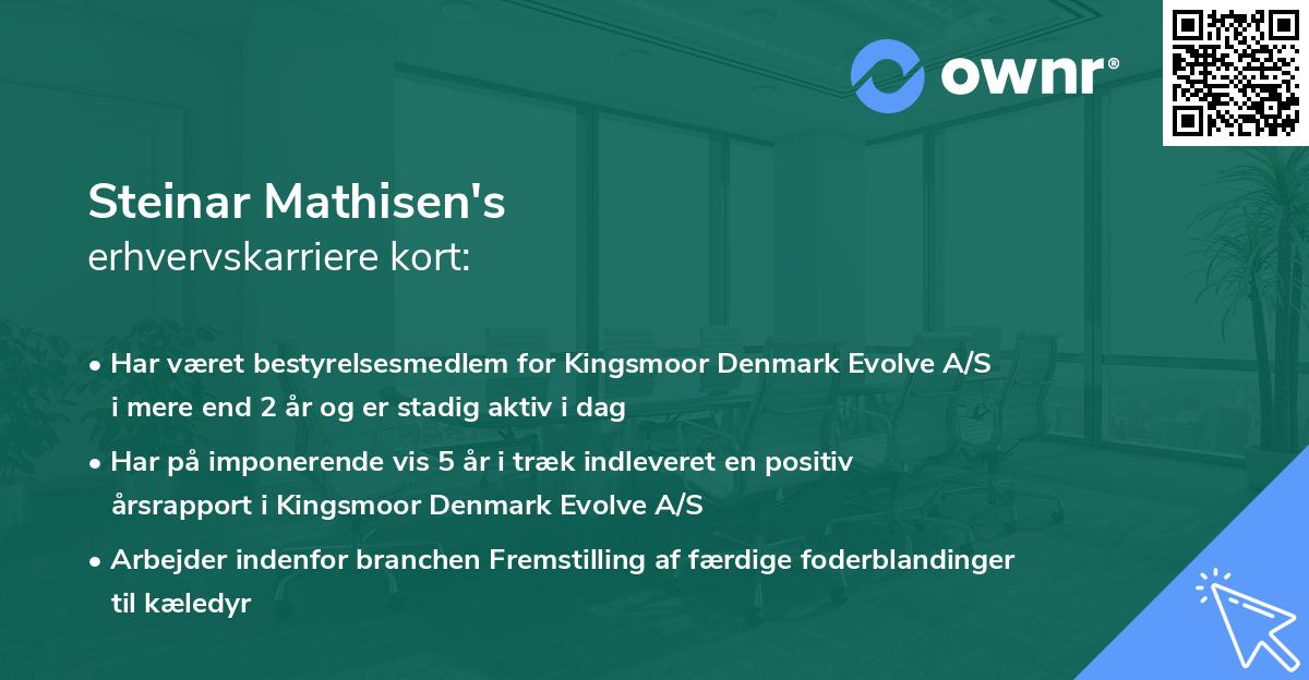 Steinar Mathisen's erhvervskarriere kort