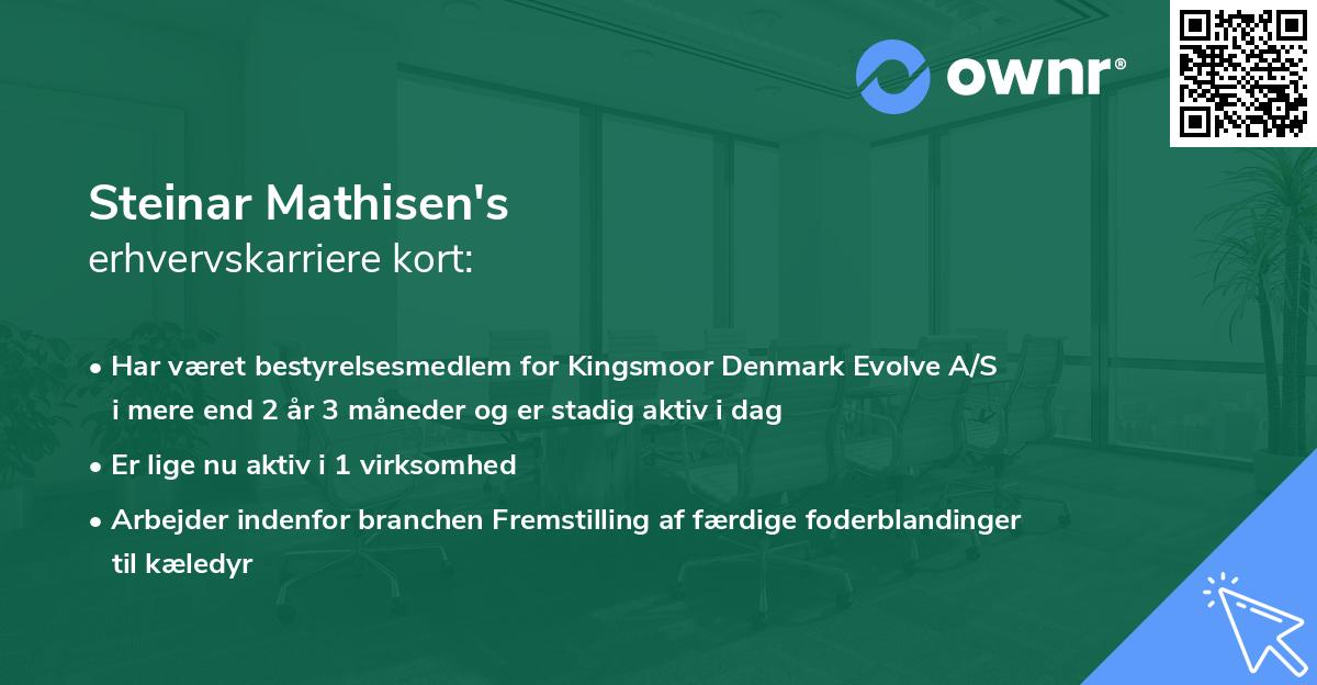 Steinar Mathisen's erhvervskarriere kort