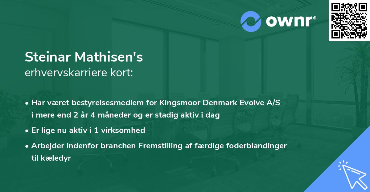 Steinar Mathisen's erhvervskarriere kort