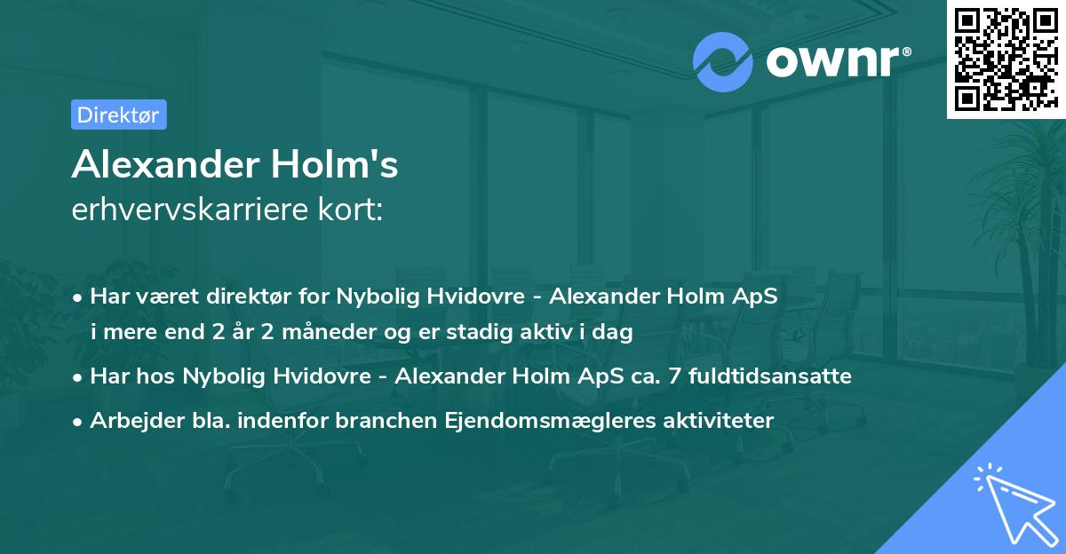 Alexander Holm's erhvervskarriere kort
