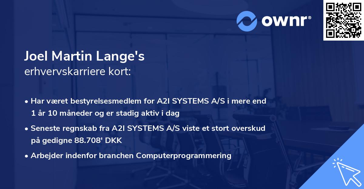 Joel Martin Lange's erhvervskarriere kort