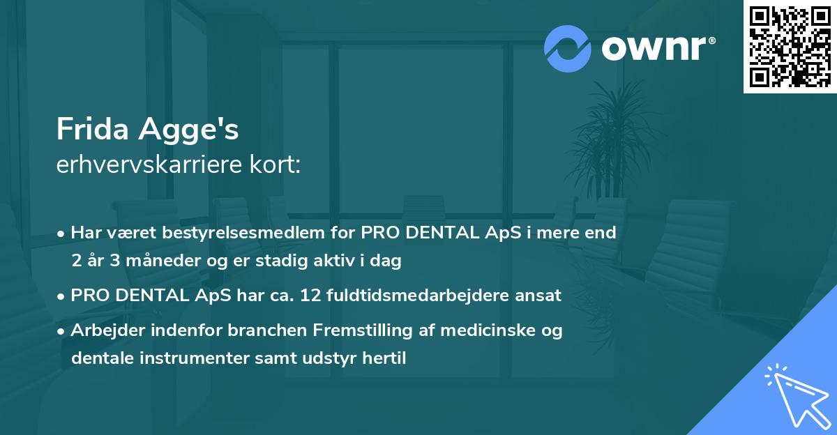 Frida Agge's erhvervskarriere kort