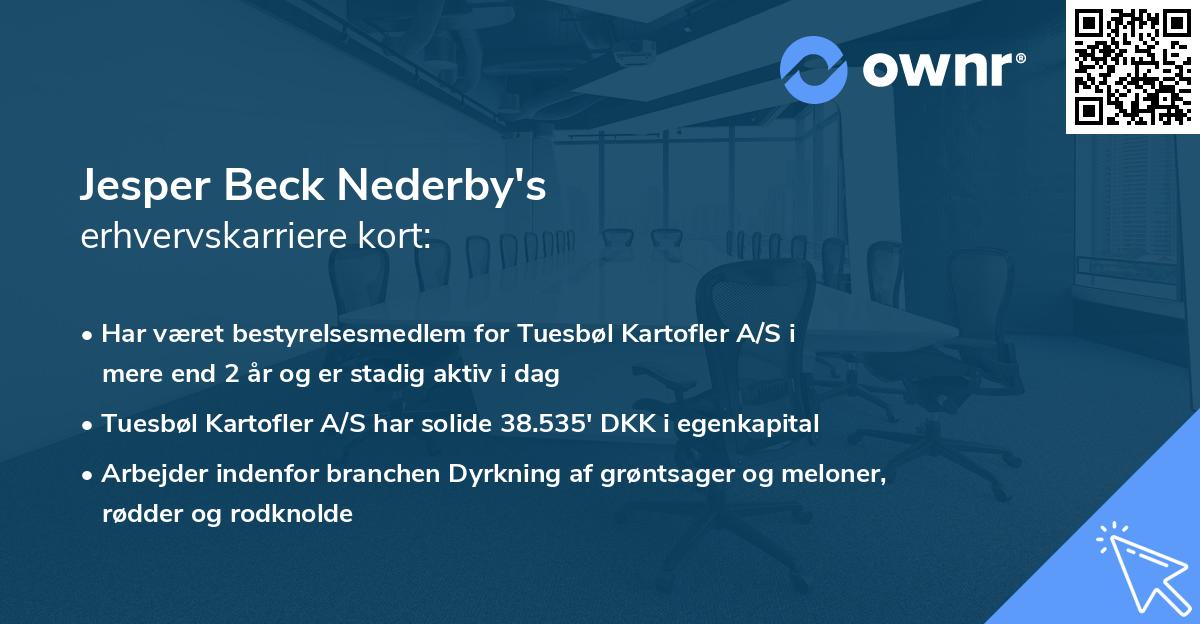 Jesper Beck Nederby's erhvervskarriere kort