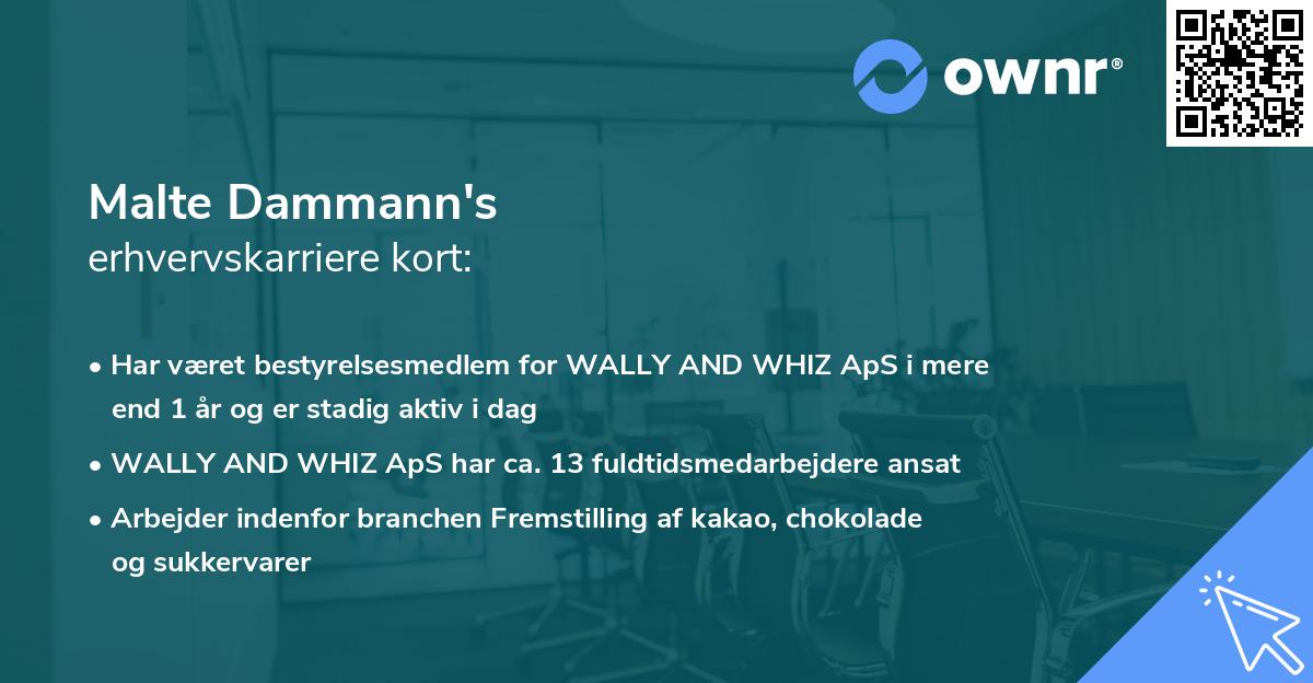 Malte Dammann's erhvervskarriere kort