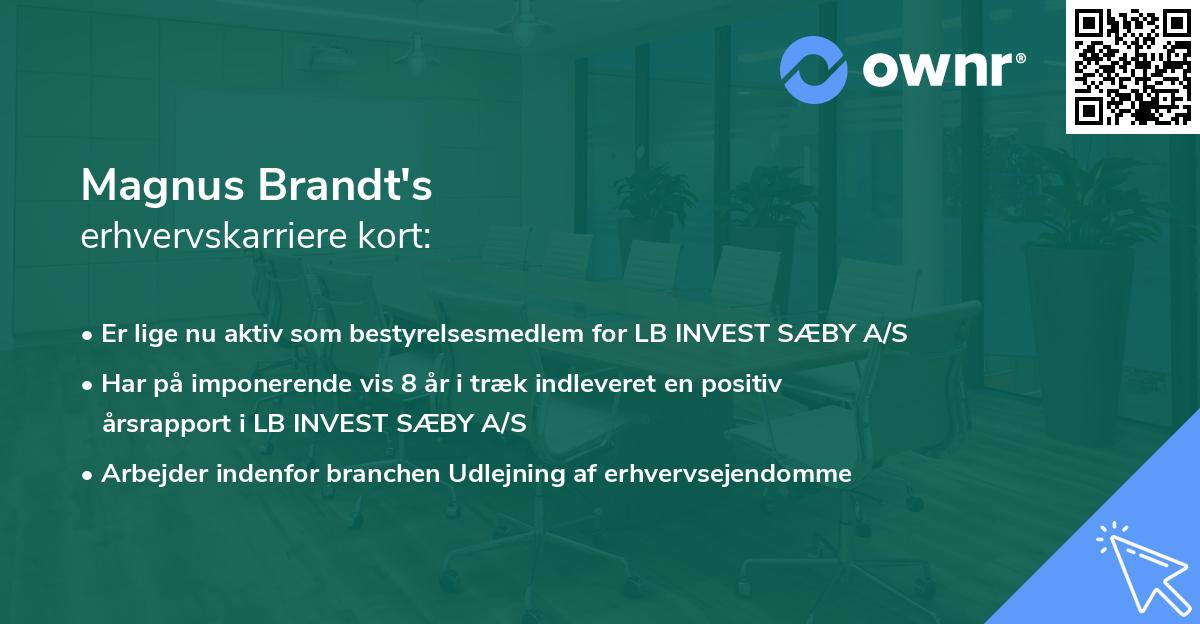Magnus Brandt's erhvervskarriere kort