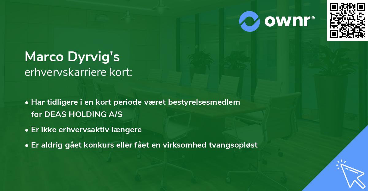Marco Dyrvig's erhvervskarriere kort