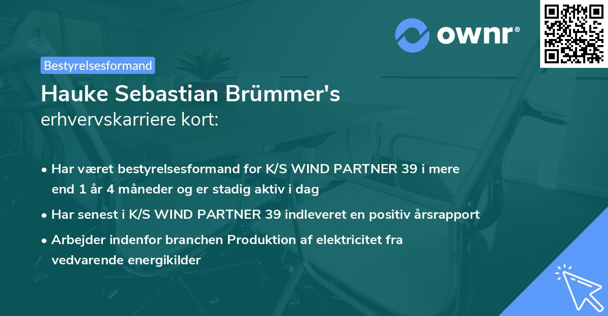 Hauke Sebastian Brümmer's erhvervskarriere kort