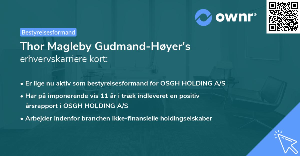 Thor Magleby Gudmand-Høyer's erhvervskarriere kort