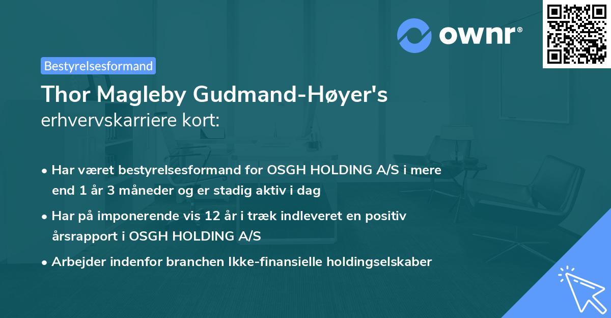 Thor Magleby Gudmand-Høyer's erhvervskarriere kort
