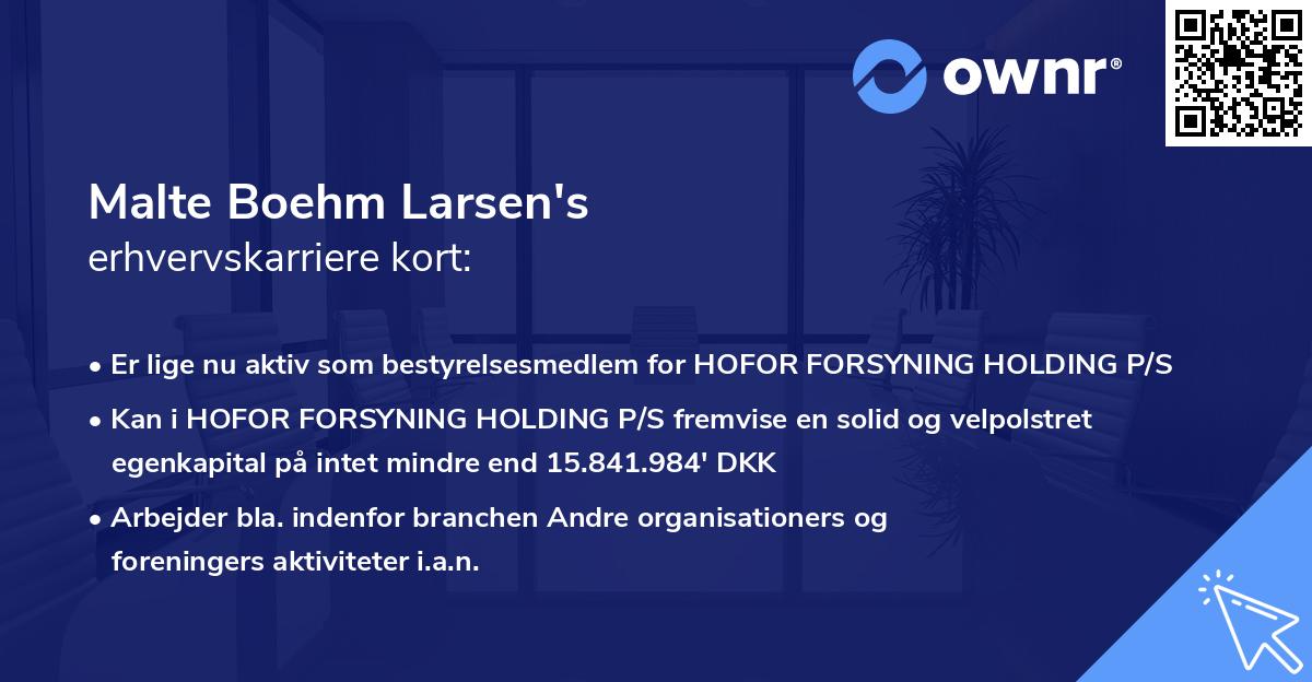 Malte Boehm Larsen's erhvervskarriere kort
