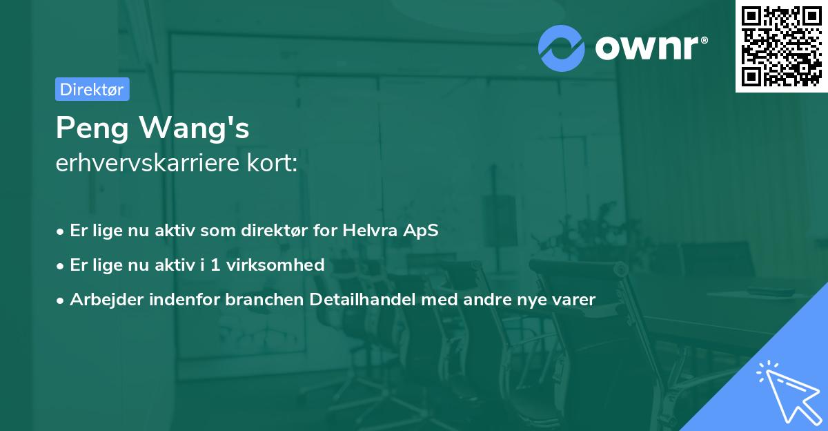 Peng Wang's erhvervskarriere kort