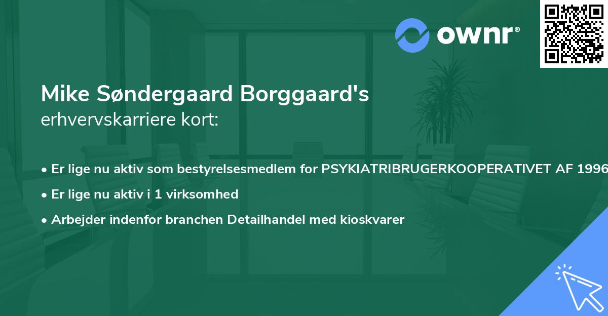 Mike Søndergaard Borggaard's erhvervskarriere kort