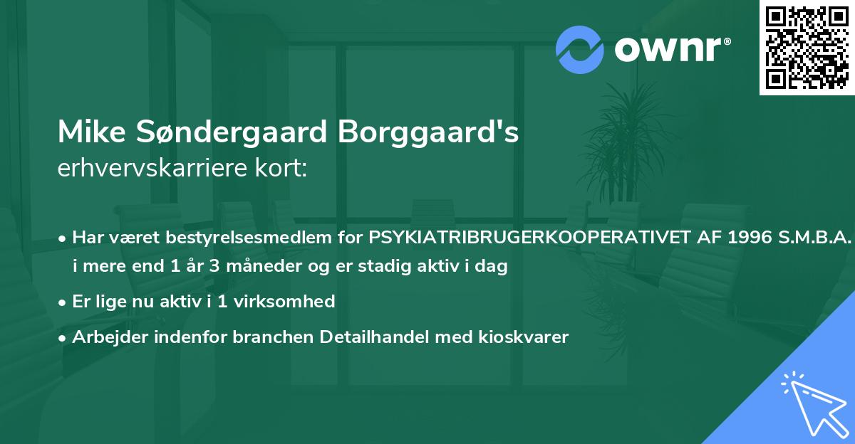 Mike Søndergaard Borggaard's erhvervskarriere kort