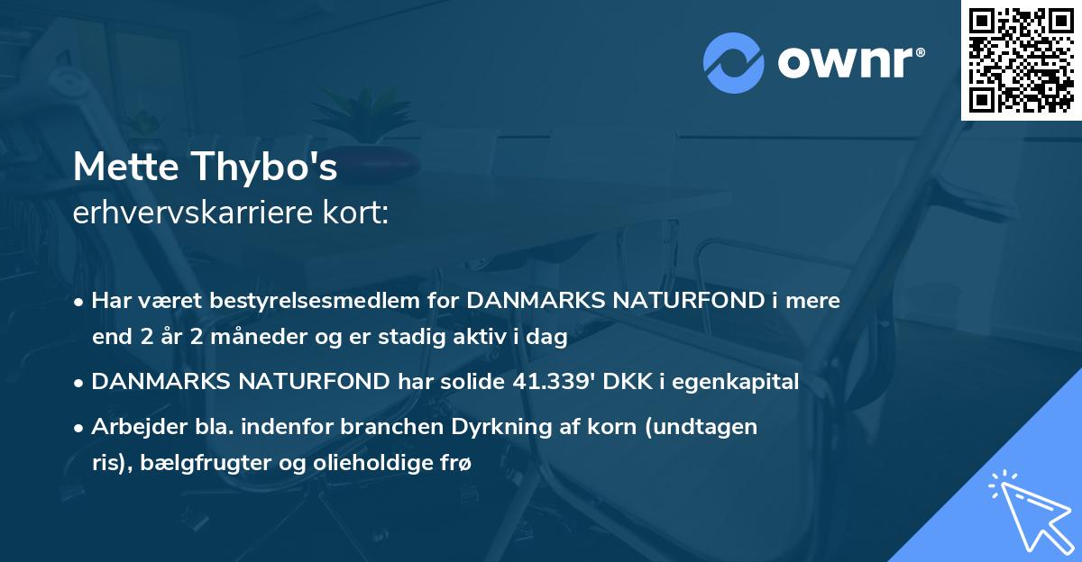 Mette Thybo's erhvervskarriere kort