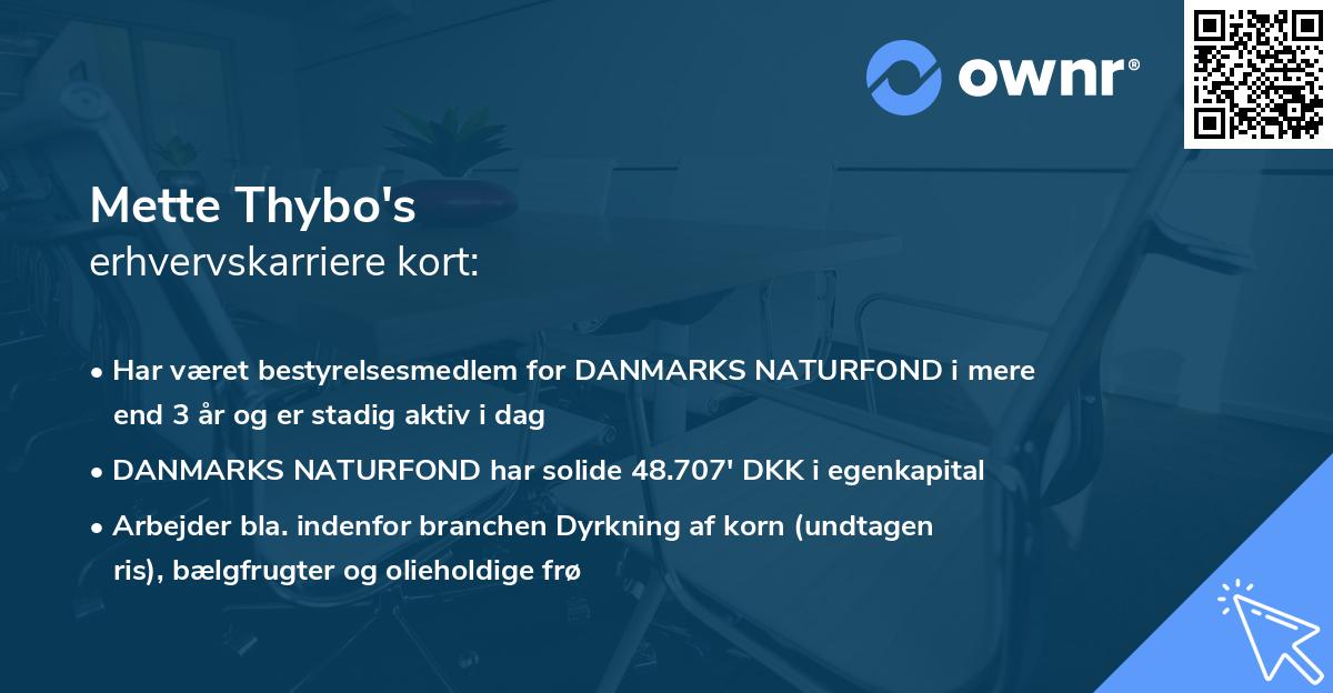 Mette Thybo's erhvervskarriere kort