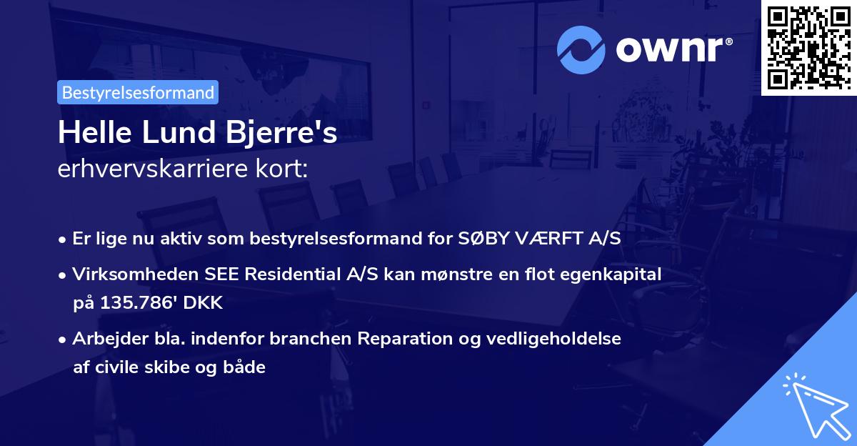 Helle Lund Bjerre's erhvervskarriere kort