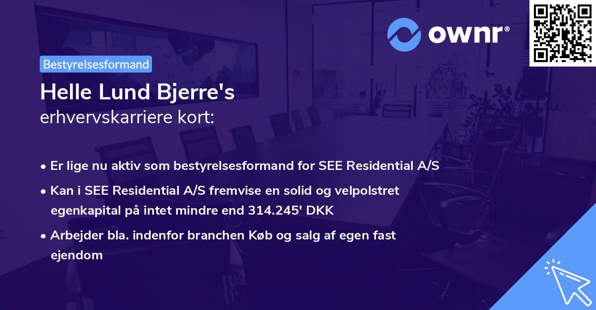 Helle Lund Bjerre's erhvervskarriere kort