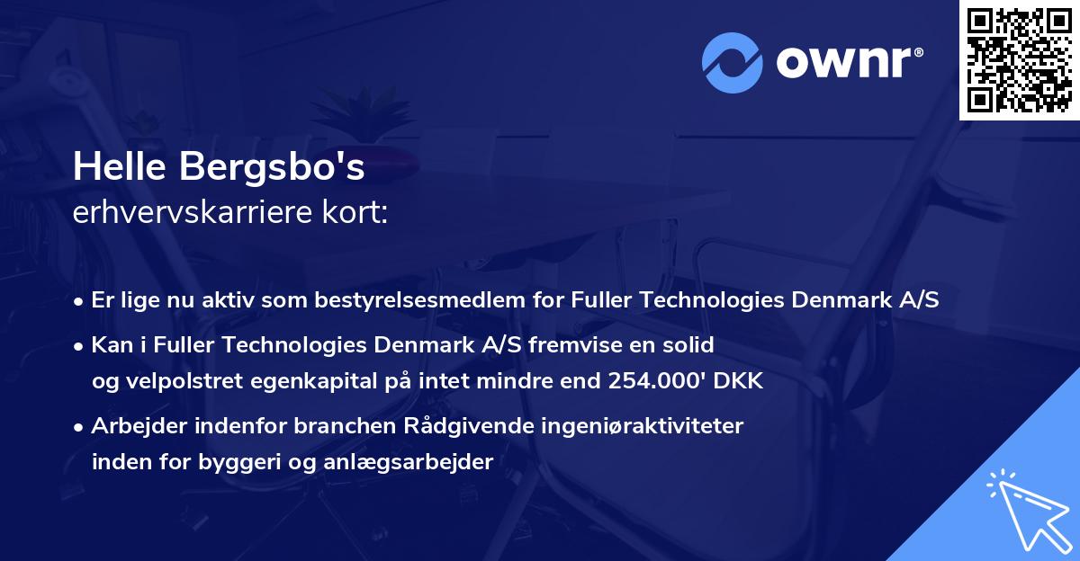 Helle Bergsbo's erhvervskarriere kort