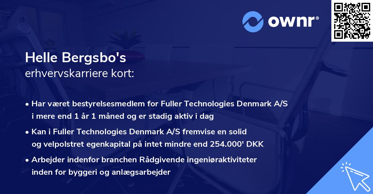 Helle Bergsbo's erhvervskarriere kort