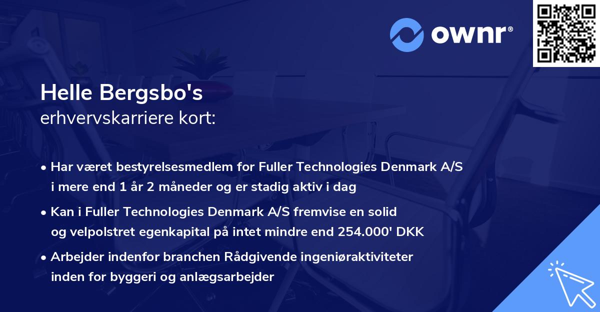 Helle Bergsbo's erhvervskarriere kort